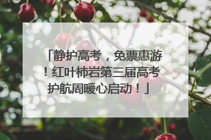 静护高考，免票惠游！红叶柿岩第三届高考护航周暖心启动！