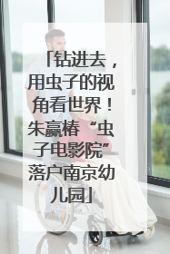 钻进去，用虫子的视角看世界！朱赢椿“虫子电影院”落户南京幼儿园