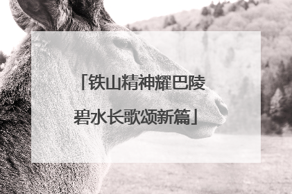 铁山精神耀巴陵 碧水长歌颂新篇