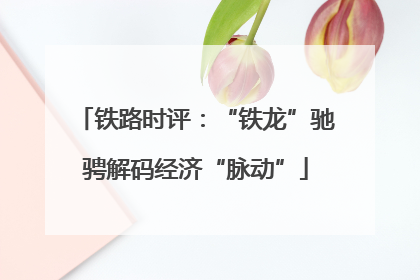 铁路时评：“铁龙”驰骋解码经济“脉动”