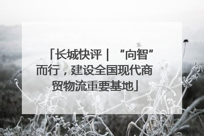 长城快评｜“向智”而行，建设全国现代商贸物流重要基地