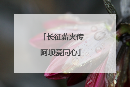 长征薪火传 阿坝爱同心