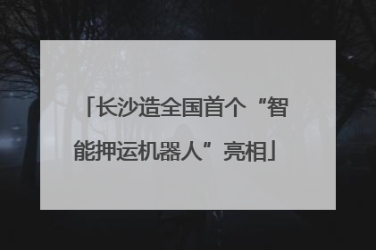 长沙造全国首个“智能押运机器人”亮相