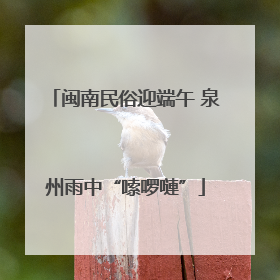 闽南民俗迎端午 泉州雨中“嗦啰嗹”