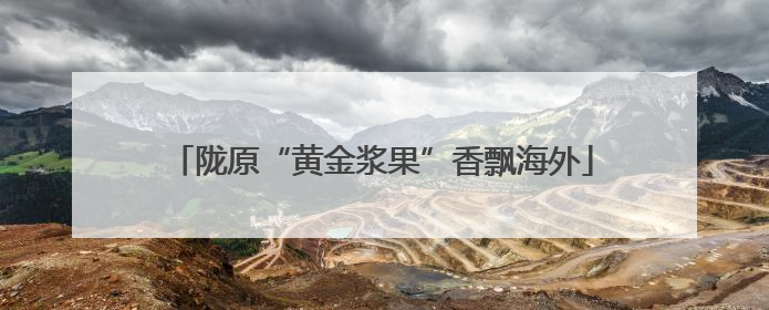 陇原“黄金浆果”香飘海外