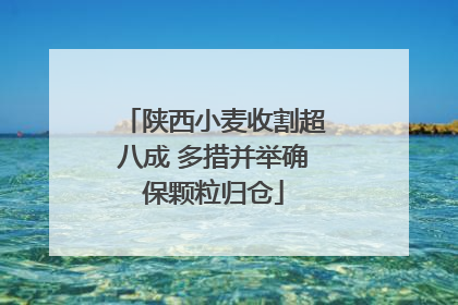 陕西小麦收割超八成 多措并举确保颗粒归仓