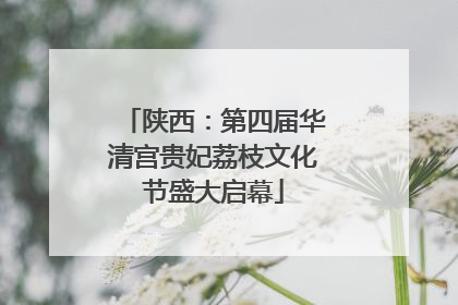 陕西：第四届华清宫贵妃荔枝文化节盛大启幕