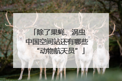 除了果蝇、涡虫 中国空间站还有哪些“动物航天员”