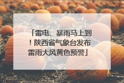 雷电、暴雨马上到！陕西省气象台发布雷雨大风黄色预警