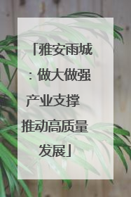 雅安雨城：做大做强产业支撑 推动高质量发展
