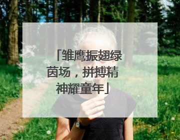 雏鹰振翅绿茵场，拼搏精神耀童年