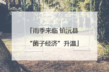 雨季来临 镇沅县“菌子经济”升温