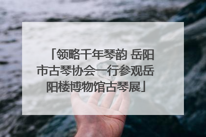 领略千年琴韵 岳阳市古琴协会一行参观岳阳楼博物馆古琴展