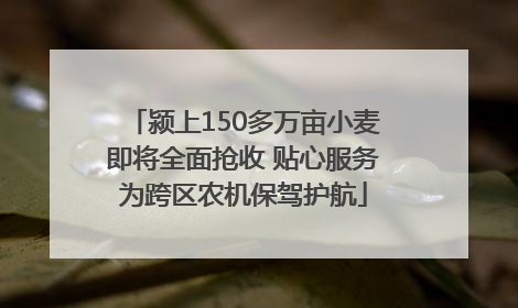 颍上150多万亩小麦即将全面抢收 贴心服务为跨区农机保驾护航