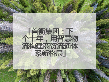 首衡集团：下一个十年，用智慧物流构建商贸流通体系新格局
