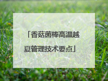 香菇菌棒高温越夏管理技术要点