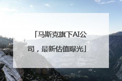 马斯克旗下AI公司，最新估值曝光