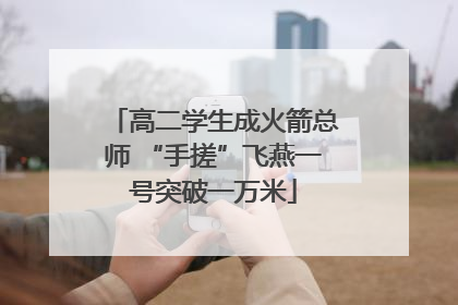 高二学生成火箭总师 “手搓”飞燕一号突破一万米