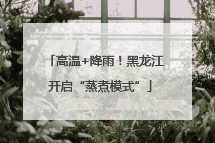 高温+降雨！黑龙江开启“蒸煮模式”