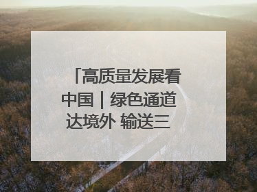 高质量发展看中国｜绿色通道达境外 输送三江“一口鲜”