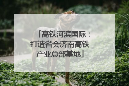 高铁河滨国际：打造省会济南高铁产业总部基地