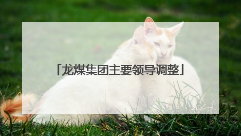龙煤集团主要领导调整
