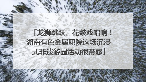 龙狮跳跃、花鼓戏唱响！湖南有色金属职院这场沉浸式非遗游园活动很带感