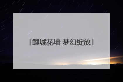 鲤城花墙 梦幻绽放