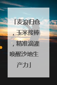 麦浪归仓，玉米接棒，精准滴灌唤醒沙地生产力