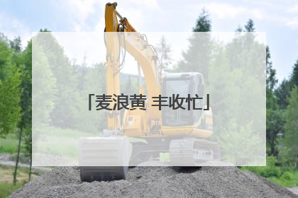 麦浪黄 丰收忙