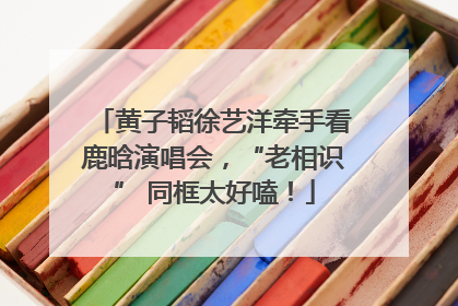 黄子韬徐艺洋牵手看鹿晗演唱会，“老相识” 同框太好嗑！