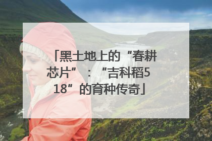 黑土地上的“春耕芯片”：“吉科稻518”的育种传奇