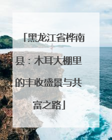 黑龙江省桦南县：木耳大棚里的丰收盛景与共富之路