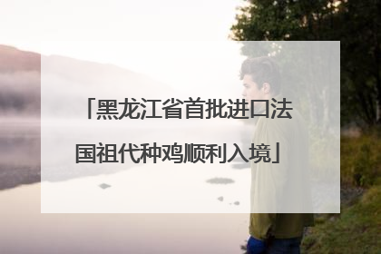 黑龙江省首批进口法国祖代种鸡顺利入境
