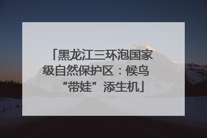 黑龙江三环泡国家级自然保护区：候鸟“带娃”添生机
