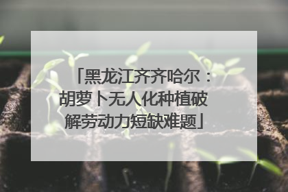 黑龙江齐齐哈尔：胡萝卜无人化种植破解劳动力短缺难题