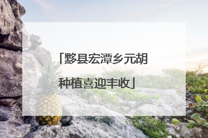 黟县宏潭乡元胡种植喜迎丰收