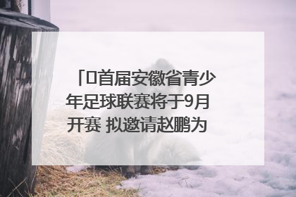 ﻿首届安徽省青少年足球联赛将于9月开赛 拟邀请赵鹏为先导赛开球