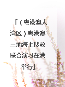 （粤港澳大湾区）粤港澳三地海上搜救联合演习在港举行