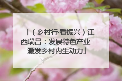 （乡村行·看振兴）江西瑞昌：发展特色产业 激发乡村内生动力