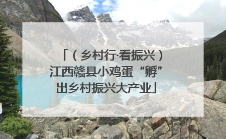 （乡村行·看振兴）江西赣县小鸡蛋“孵”出乡村振兴大产业
