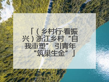 （乡村行·看振兴）浙江乡村“自我重塑” 引青年“筑巢生金”