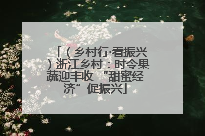 （乡村行·看振兴）浙江乡村：时令果蔬迎丰收 “甜蜜经济”促振兴
