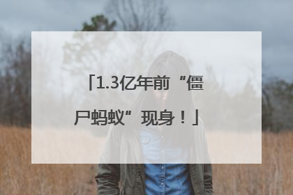 1.3亿年前“僵尸蚂蚁”现身！