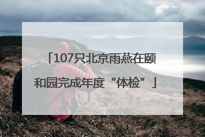 107只北京雨燕在颐和园完成年度“体检”