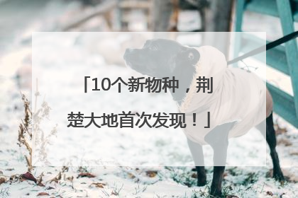 10个新物种，荆楚大地首次发现！