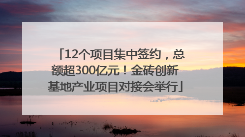 12个项目集中签约，总额超300亿元！金砖创新基地产业项目对接会举行