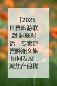 2025世界旅游联盟·洞庭对话｜专家建言黔湘文旅协同发展：聚焦产品稀缺性 深化区域经验共享
