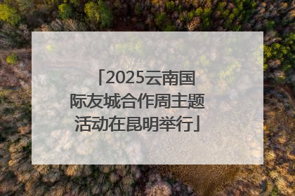 2025云南国际友城合作周主题活动在昆明举行