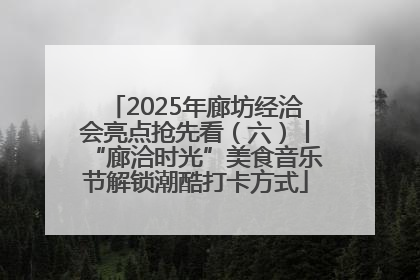 2025年廊坊经洽会亮点抢先看（六）丨“廊洽时光”美食音乐节解锁潮酷打卡方式